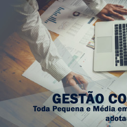 GESTÃO CONTÁBIL: Toda Pequena E Média Empresa Precisa Adotar Esta Prática!